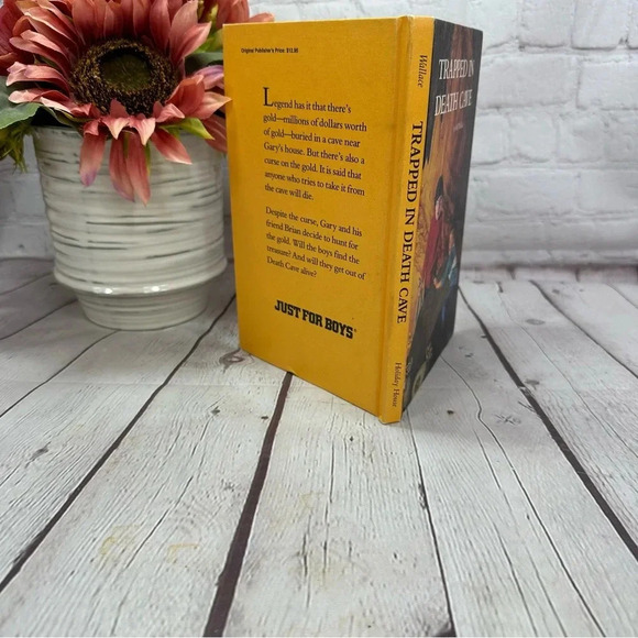 vintage children's book trapped in death cave by bill wallace 1987 - Picture 3 of 7